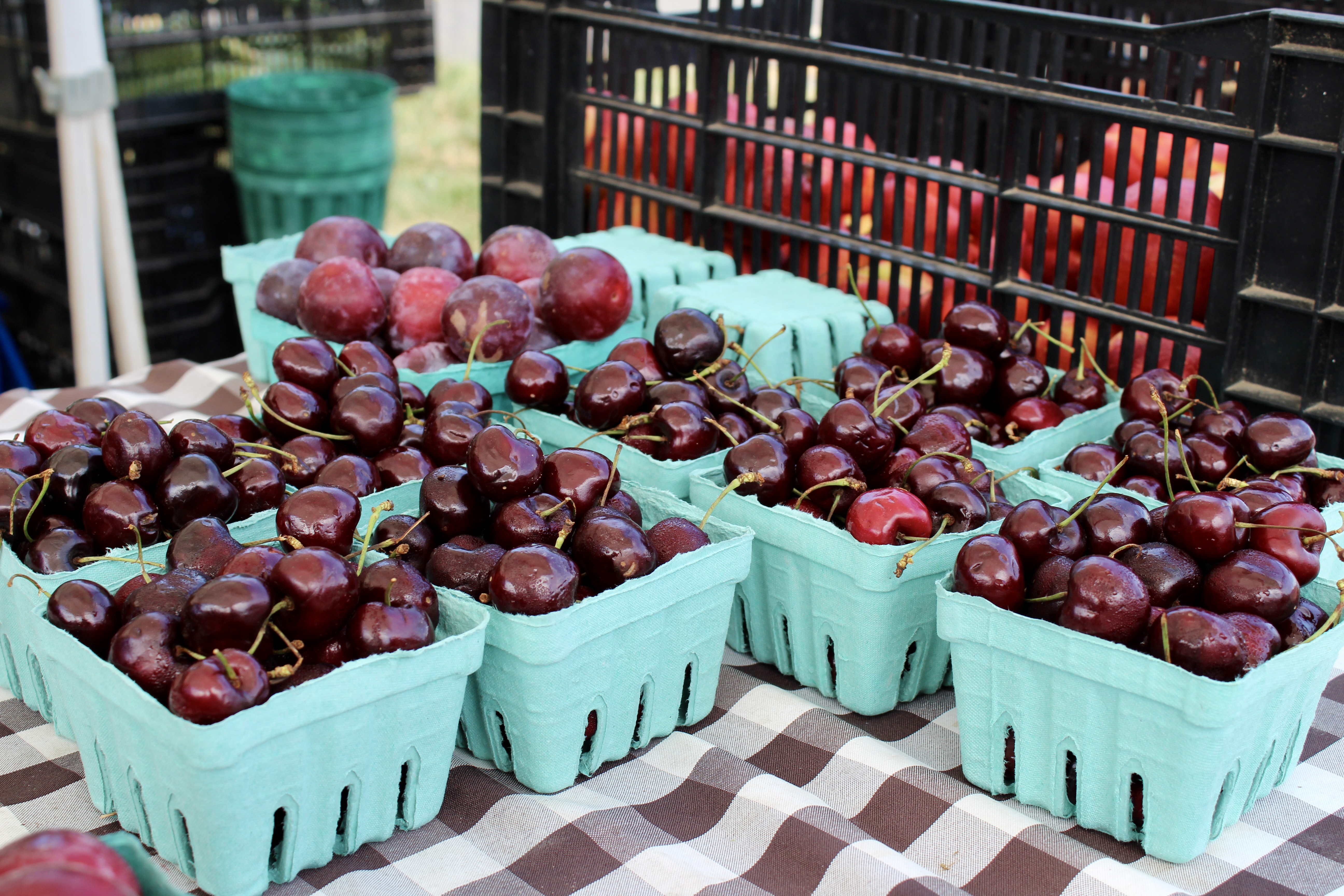 A checkered tablecloth with teal berry pint containers holding cherries on top