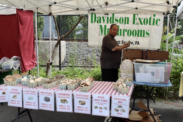 A table covered with a gingham-print tablecloth and cardboard pint containers full of various mushrooms on top, beneath the white tent of Davidson Exotic Mushrooms