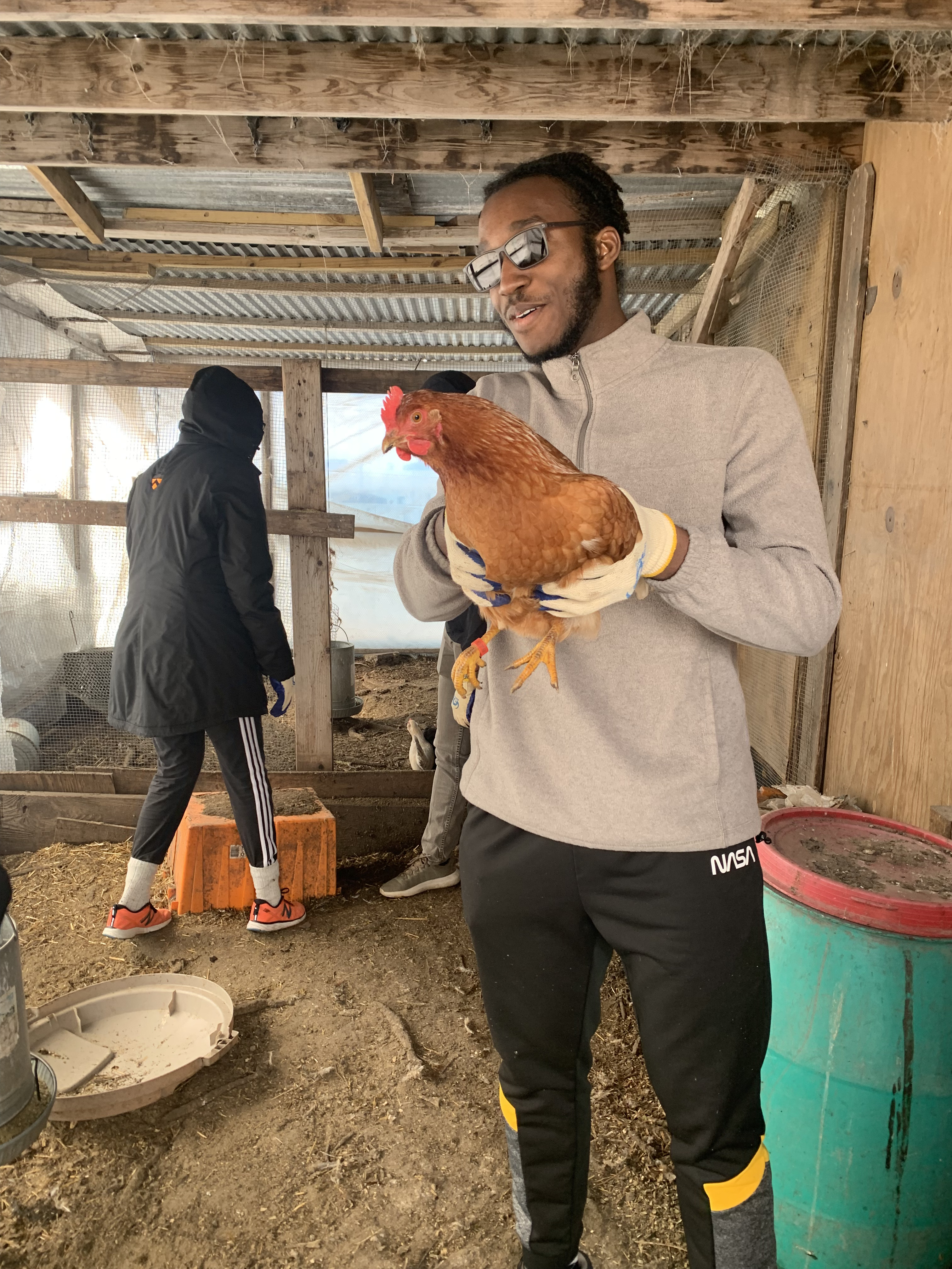 Man holding chicken in farm building