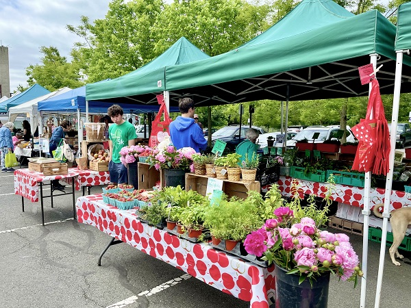 herbs and flower display at Princeton Farmer's Market