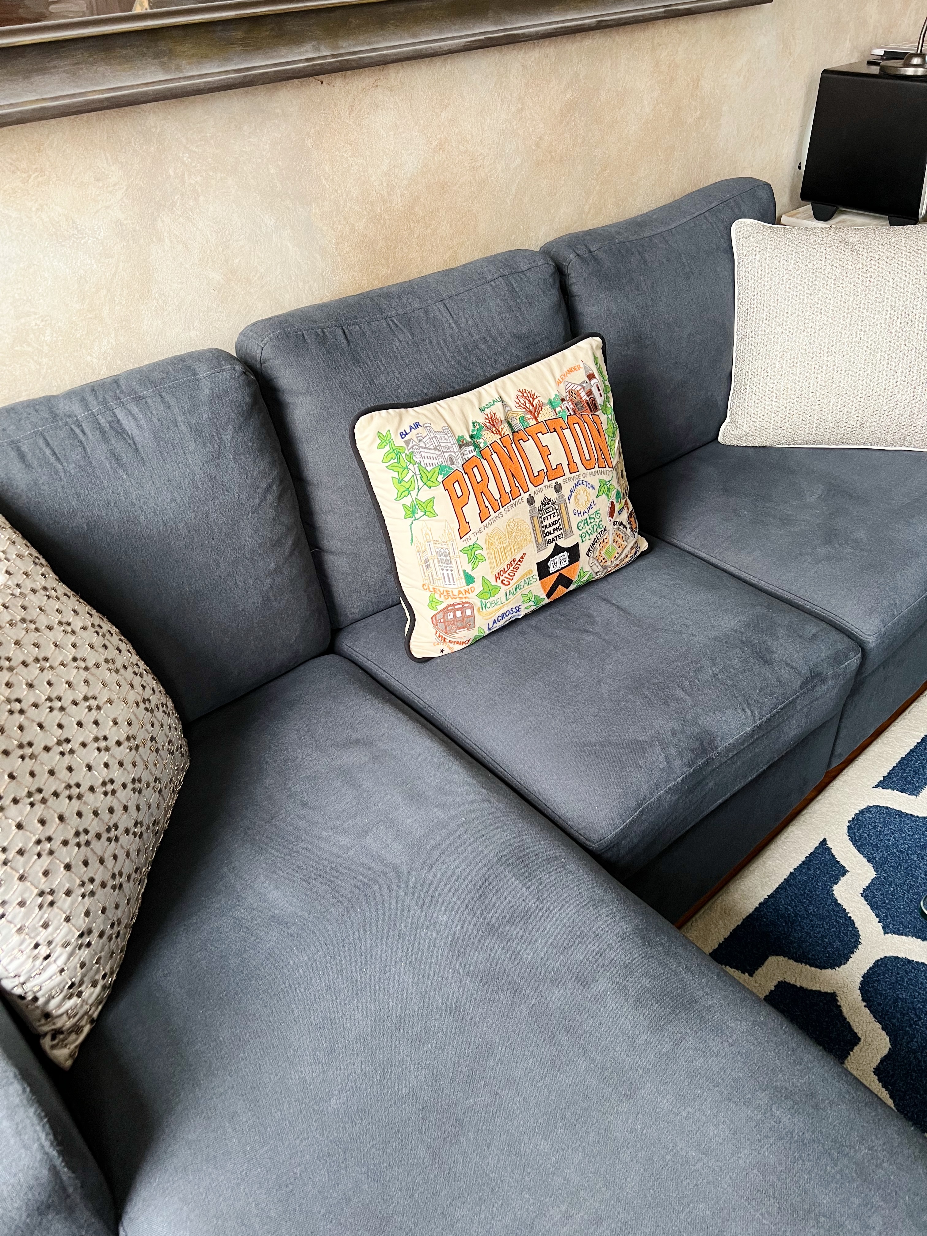 grey couch with three pillows, one with a Princeton design