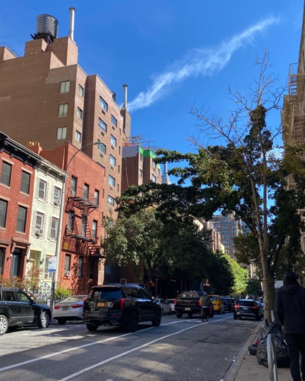 Photo of a street lined by buildings and trees in New York City.