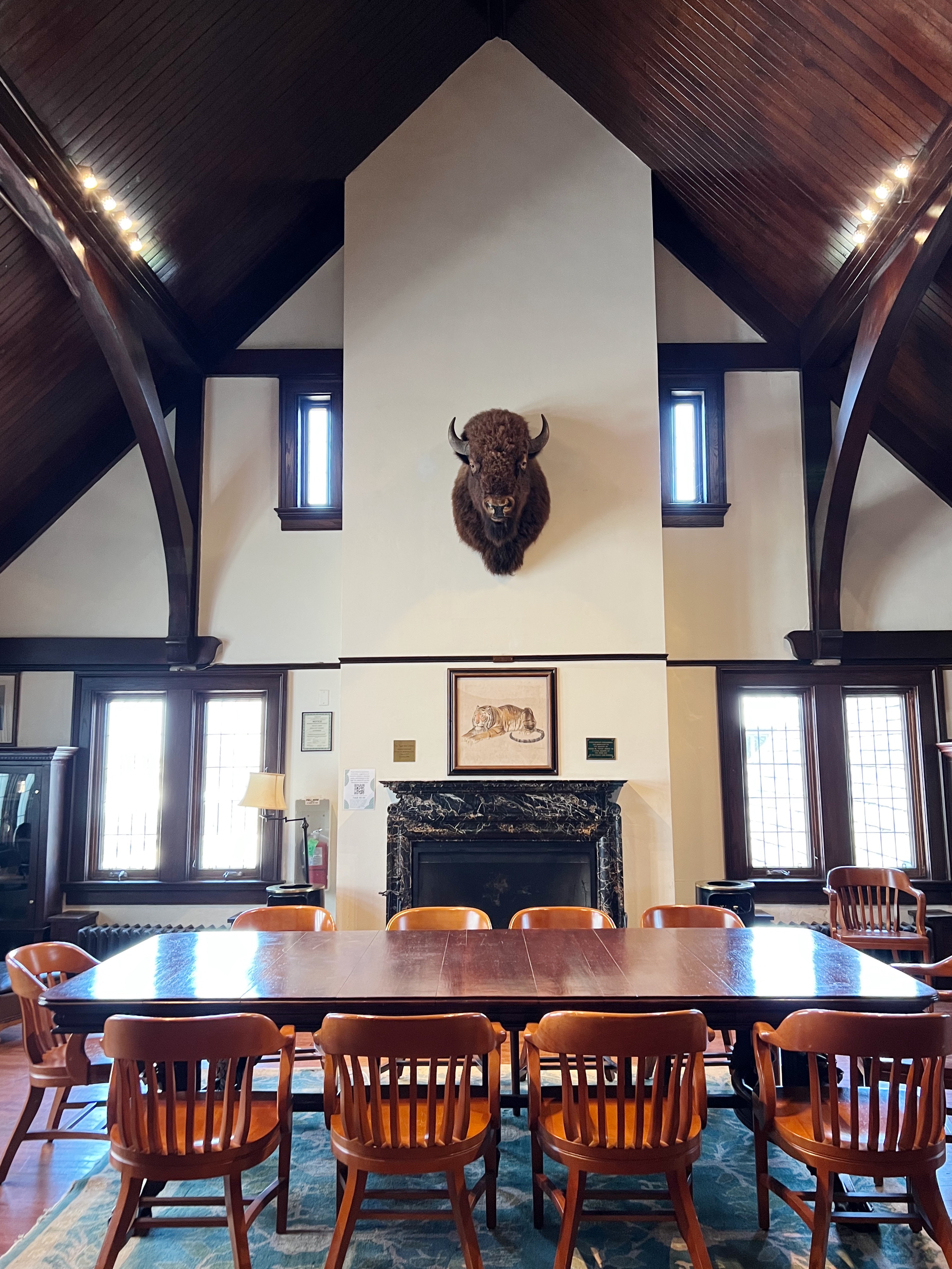 tudor style room with large study table, fireplace flanked by windows with taxidermy bull above it