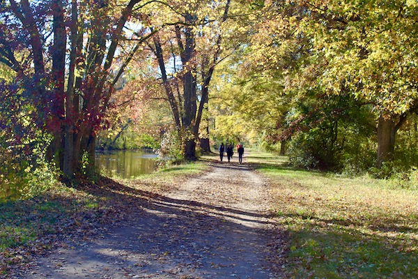 wooded gravel trail with group of pedestrians