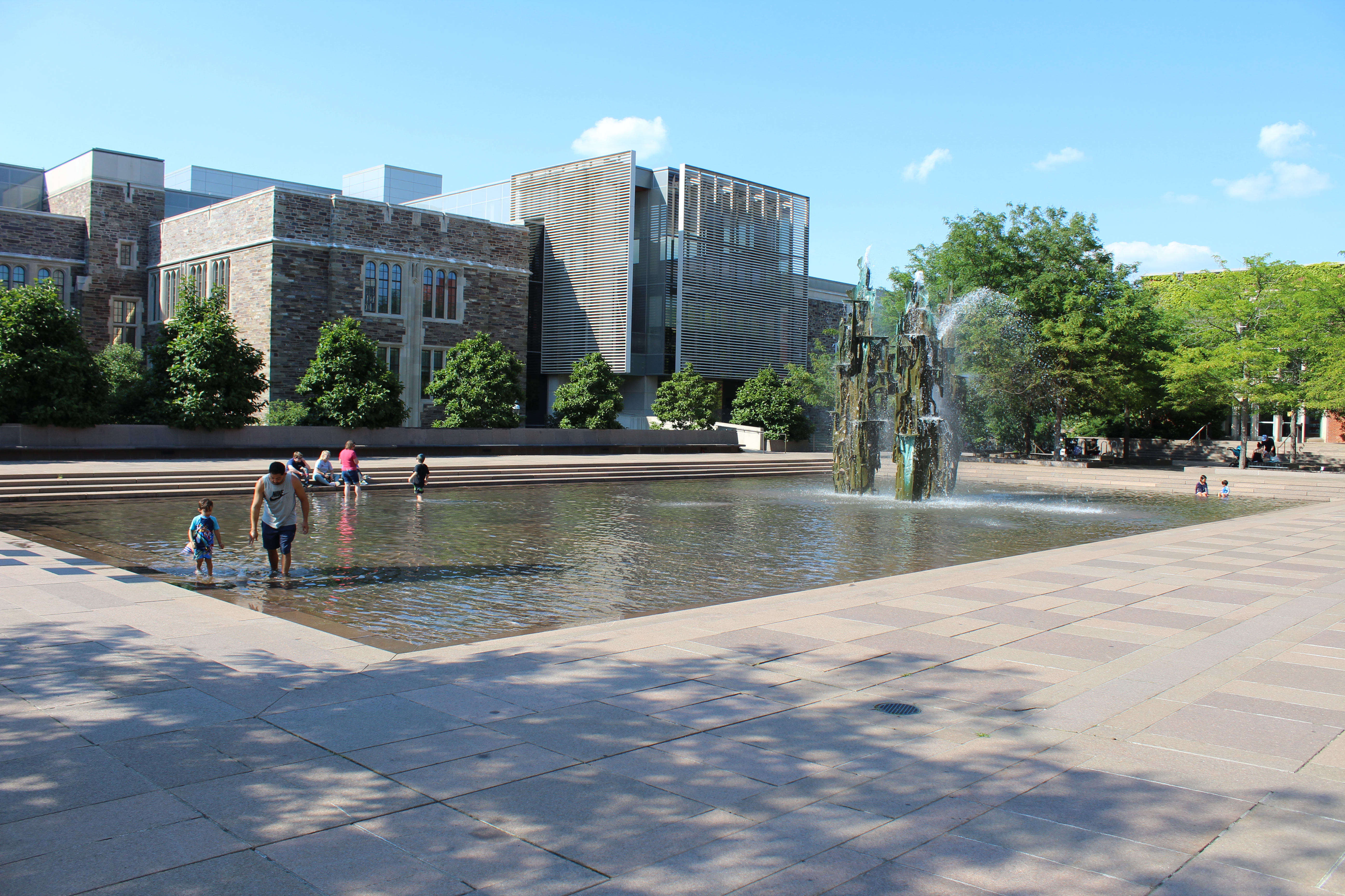 Reflecting pool and fountain in summer