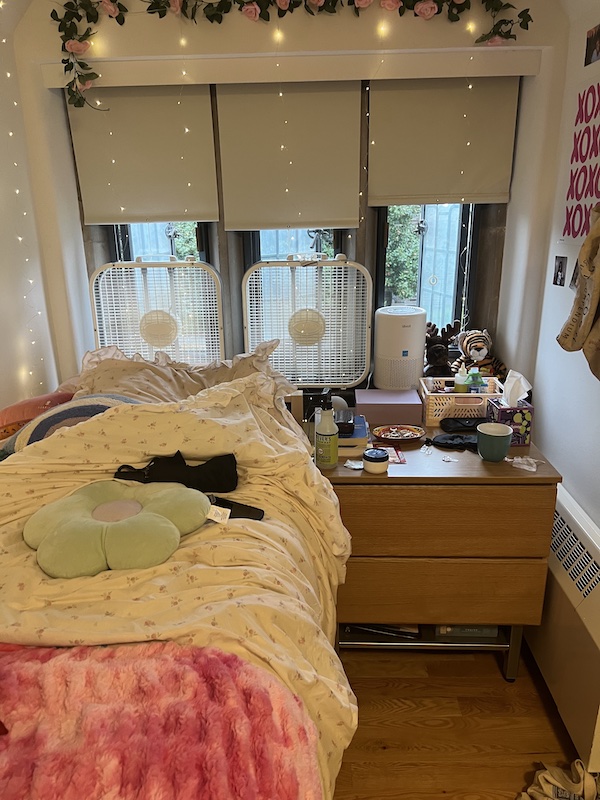 A dorm room, including a bed, nightstand, windows, and fairy lights