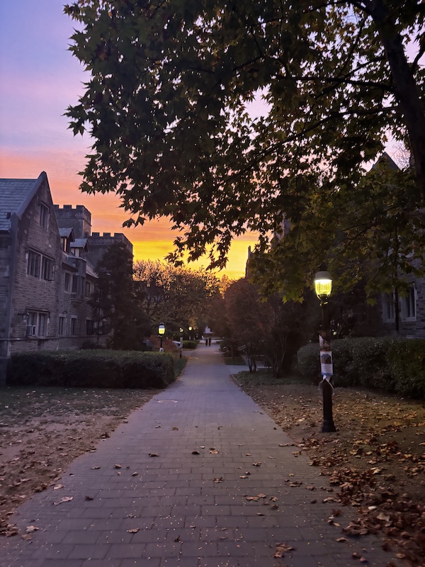 A sunset against an autumn background