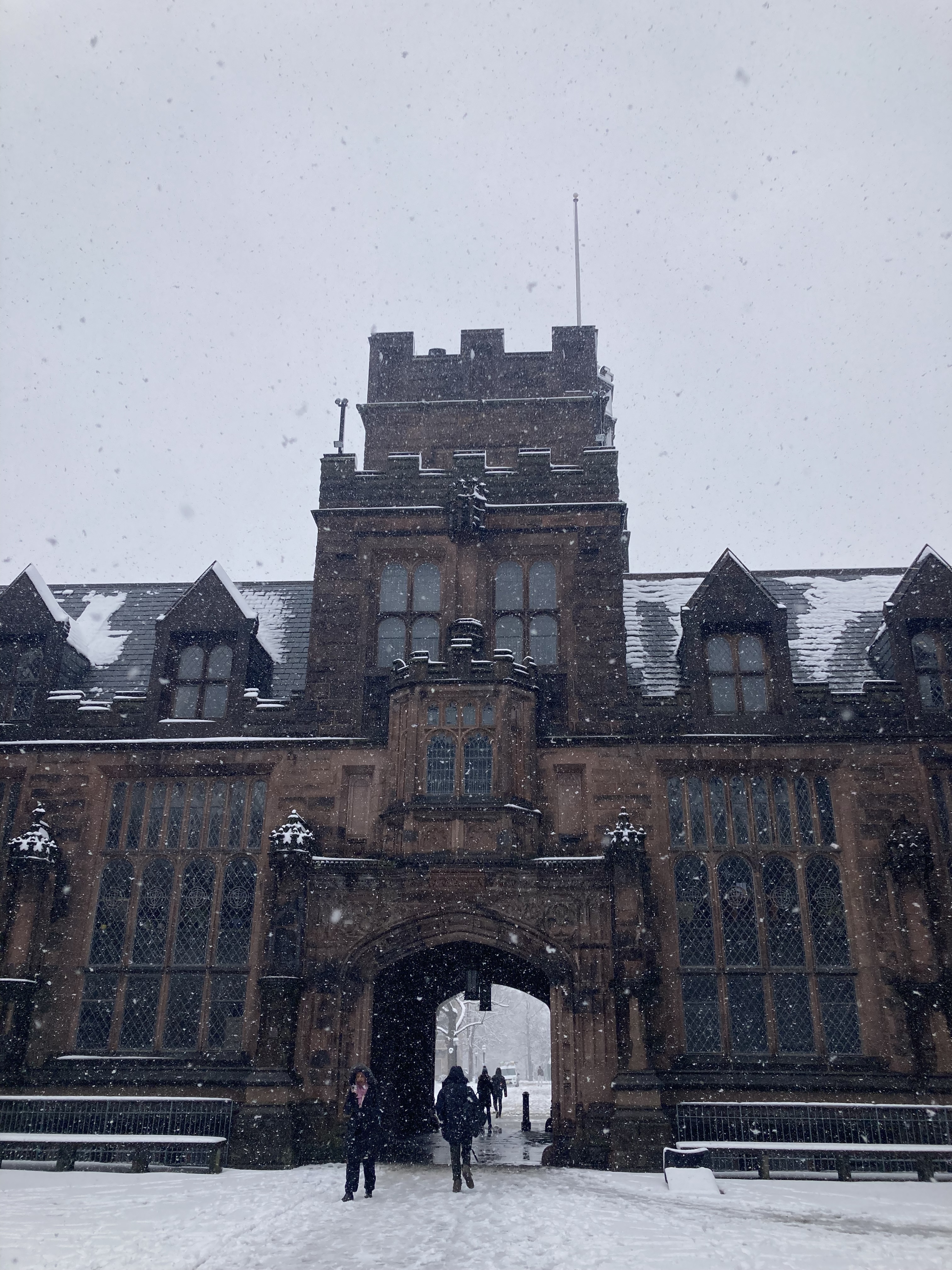 Gray skies and snow covered ground surrounding East Pyne Hall. Large snow flakes are falling.