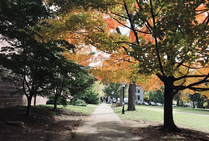 Princeton Campus in the fall
