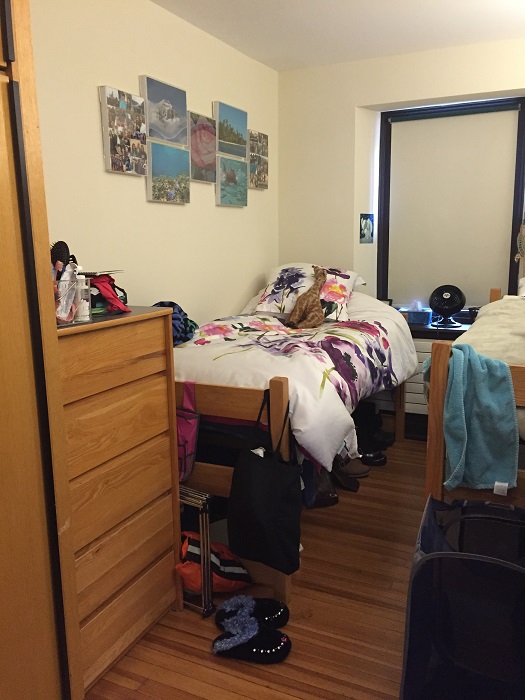 princeton campus dorms