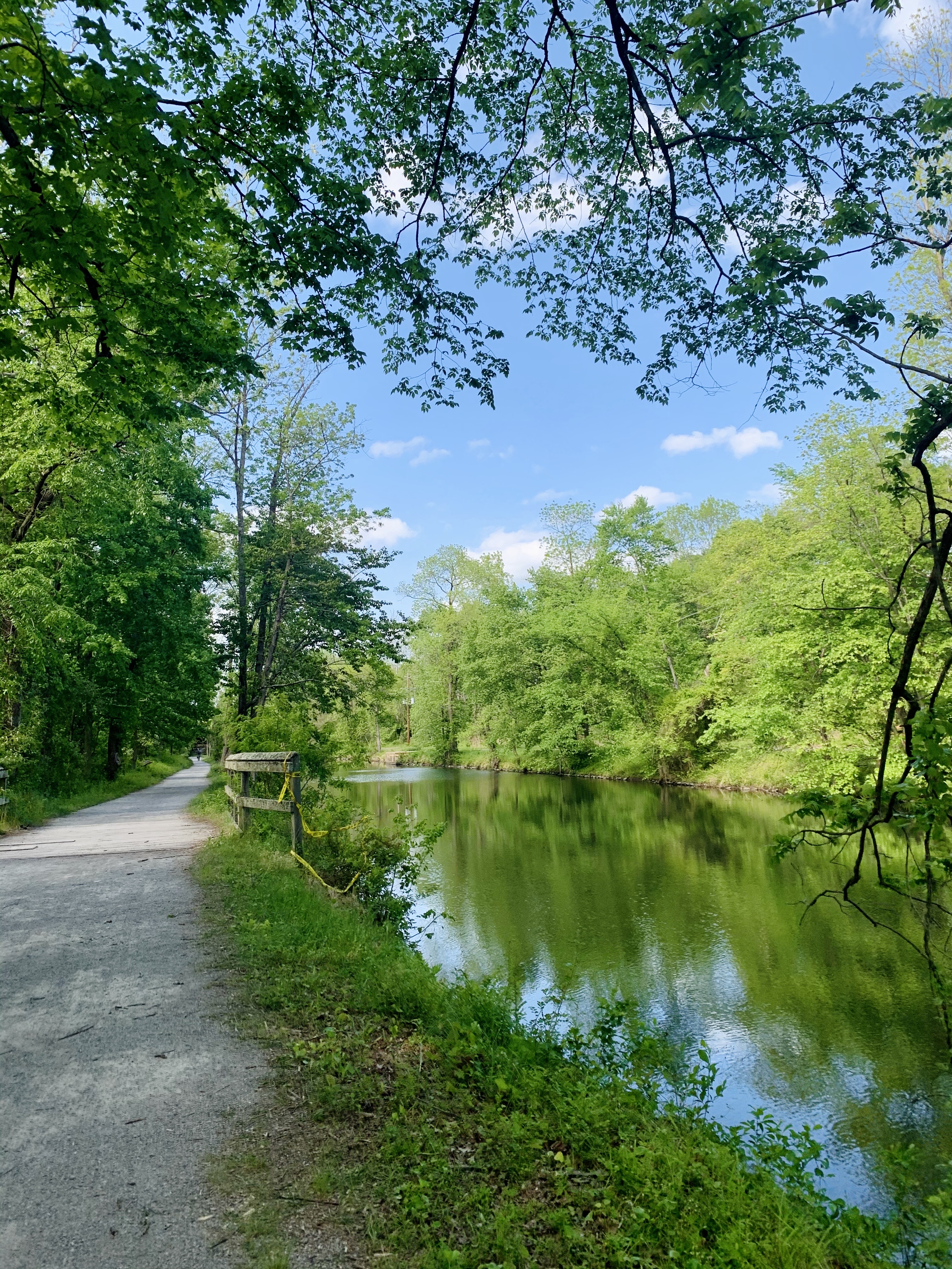 Trail next to the lake 