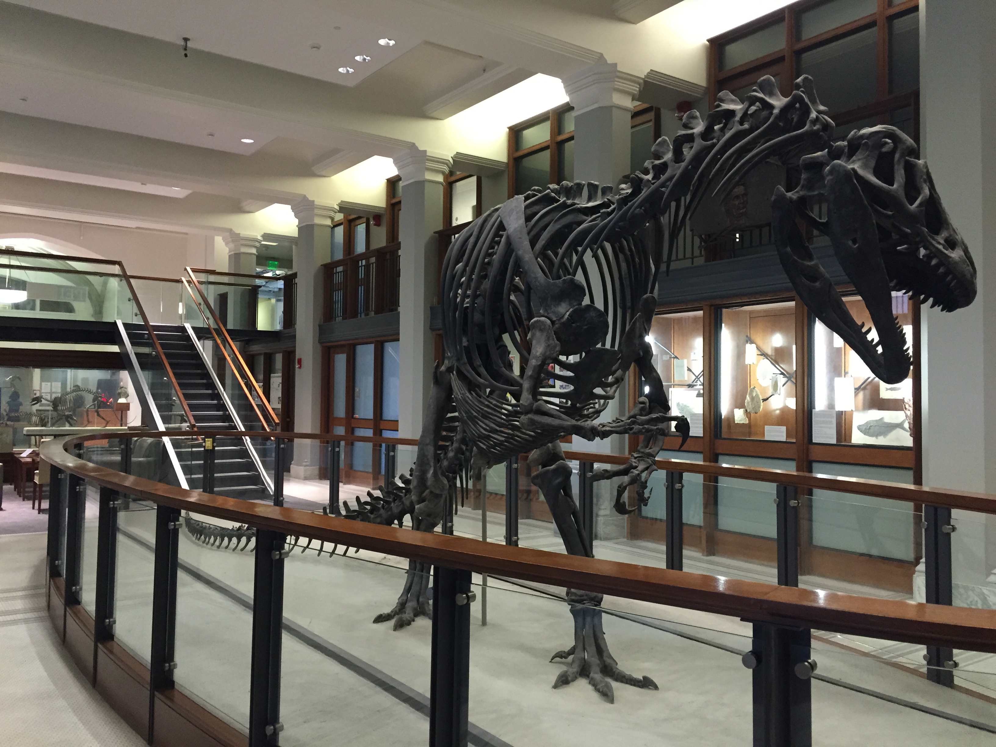 Guyot Hall dinosaur