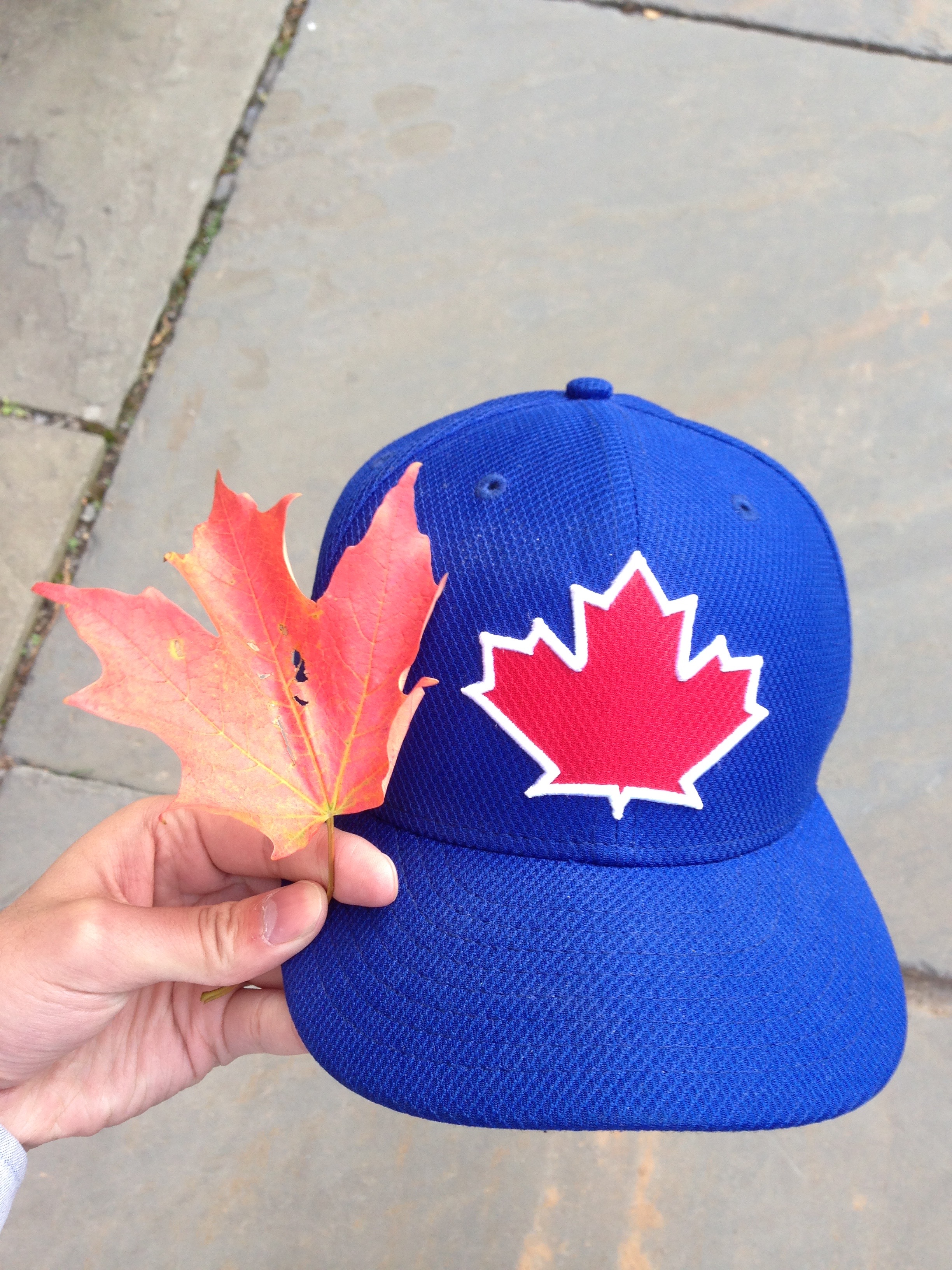 A photo of a blue hat with a maple leaf, next to a real maple leaf