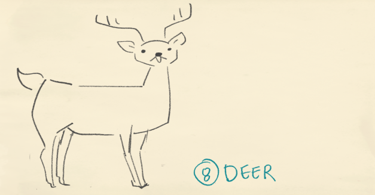 Deer