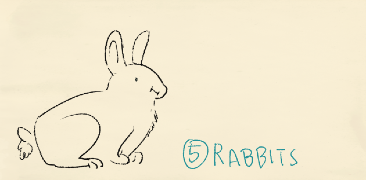 Rabbits