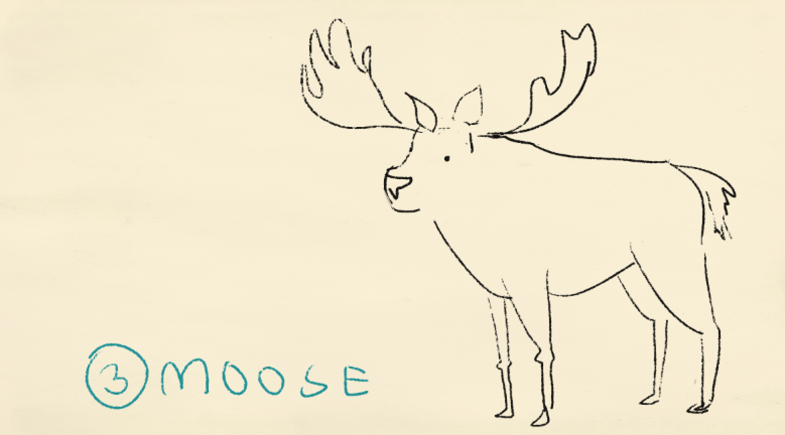 Moose