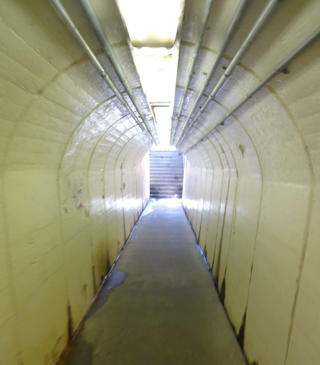 Secret tunnel!