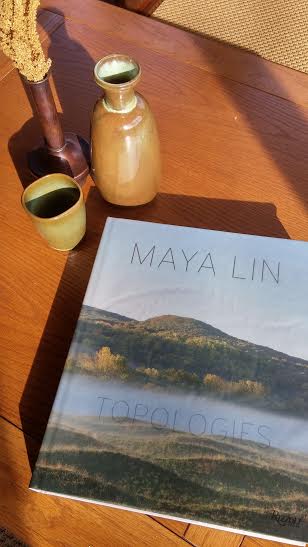 Topologies by Maya Lin
