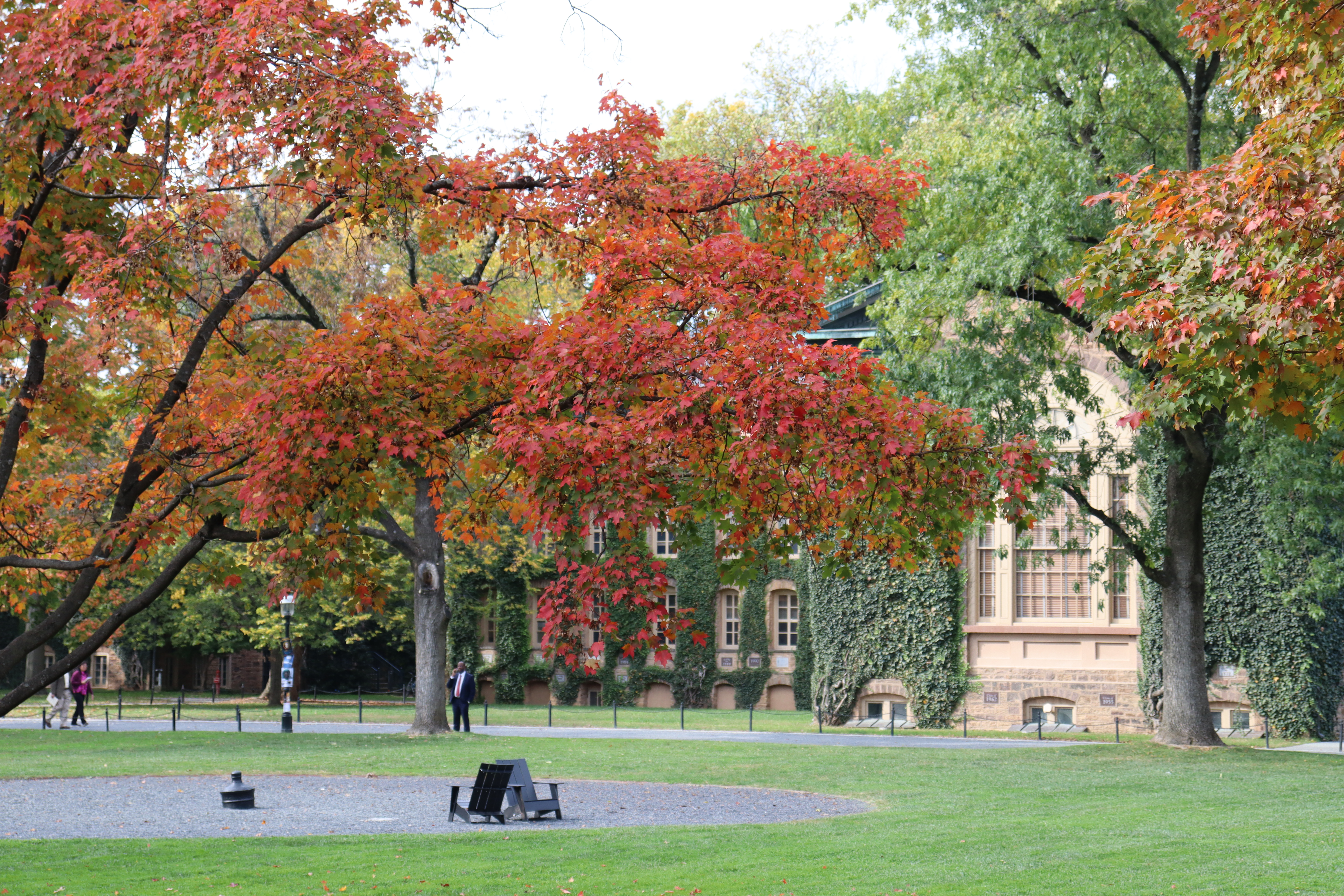 View of the rear of Nassau Hall with fall foliage