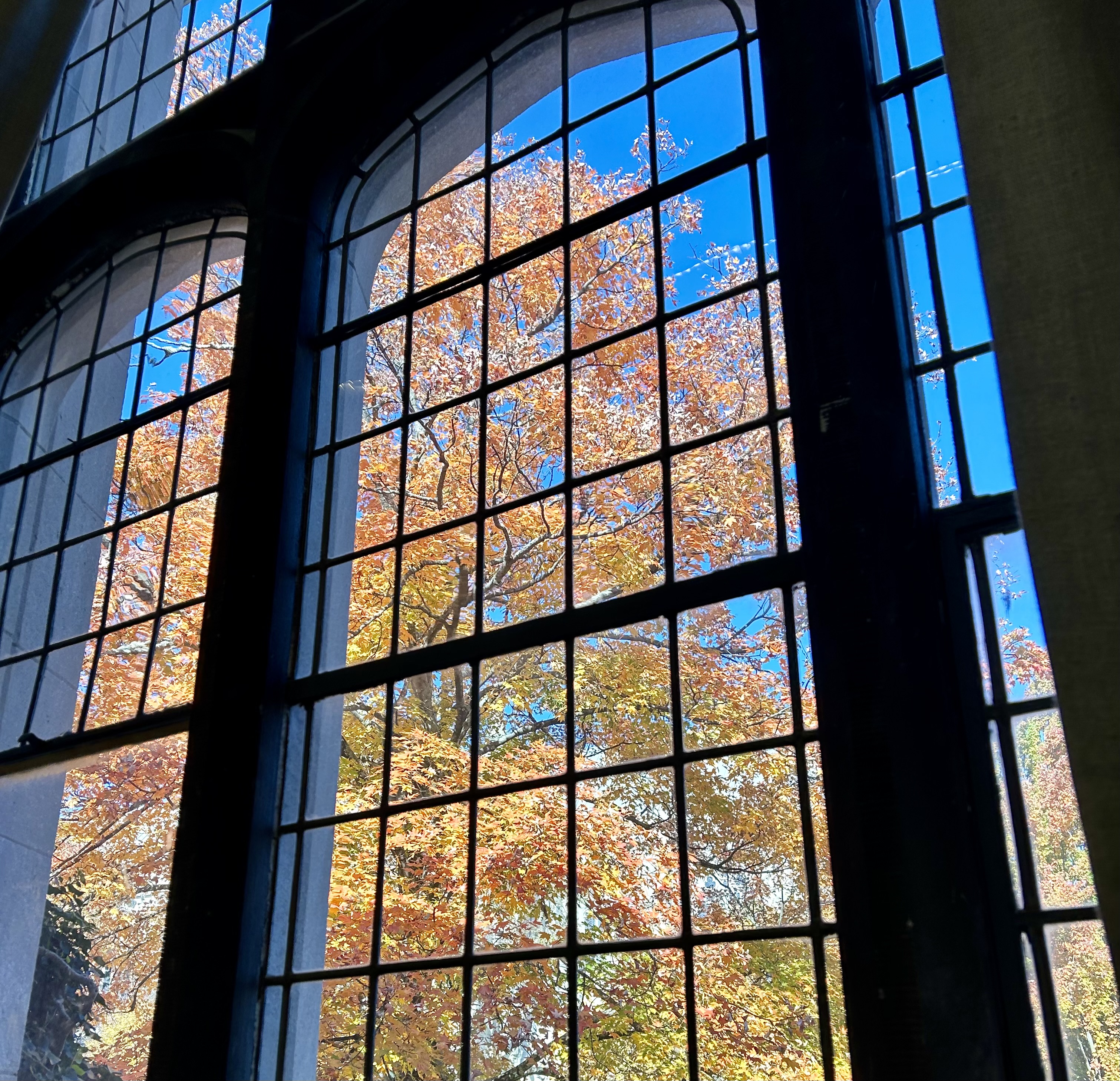 Beautiful gothic windows with fall foliage visible