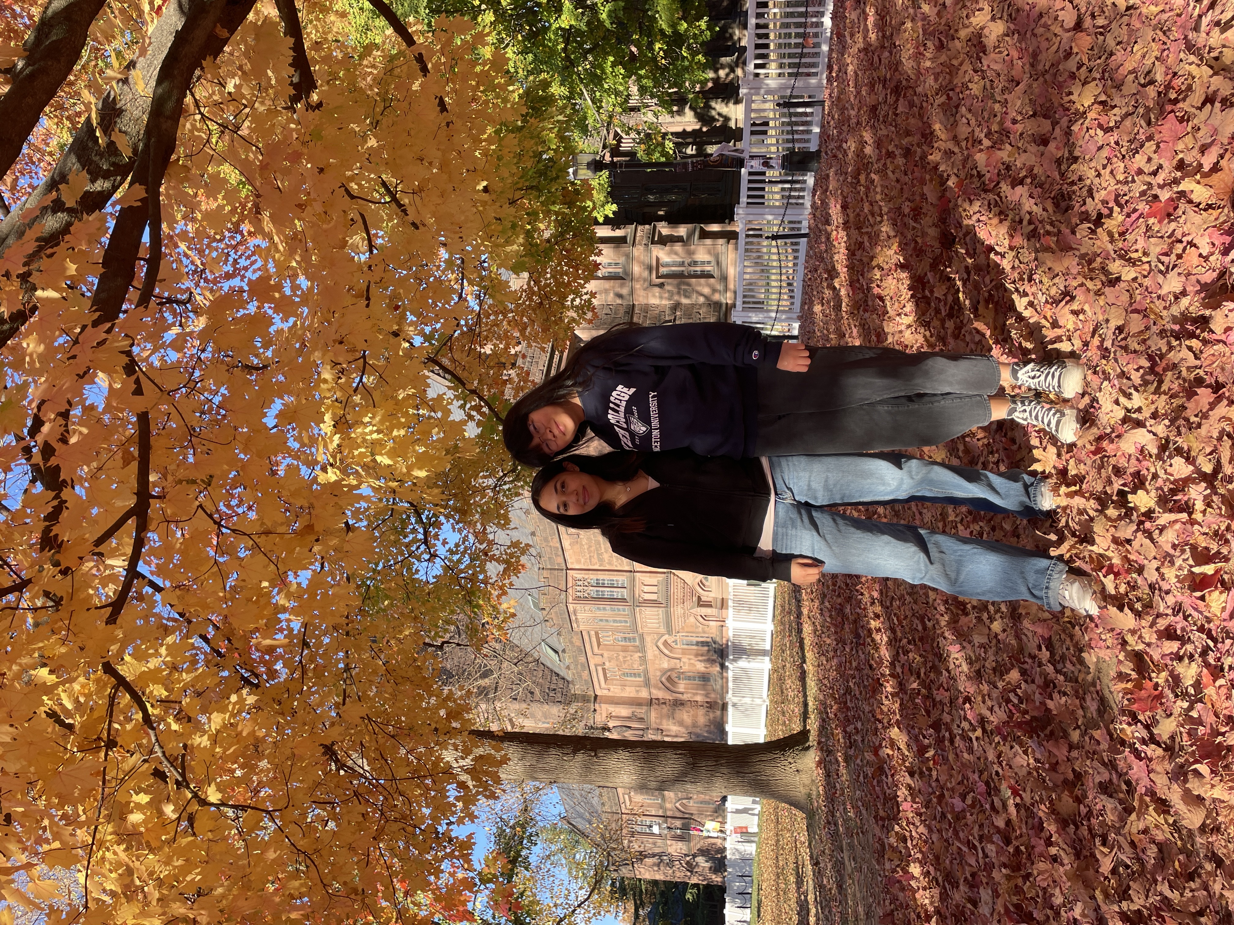 Two students pose under a tree with yellow fall foliage