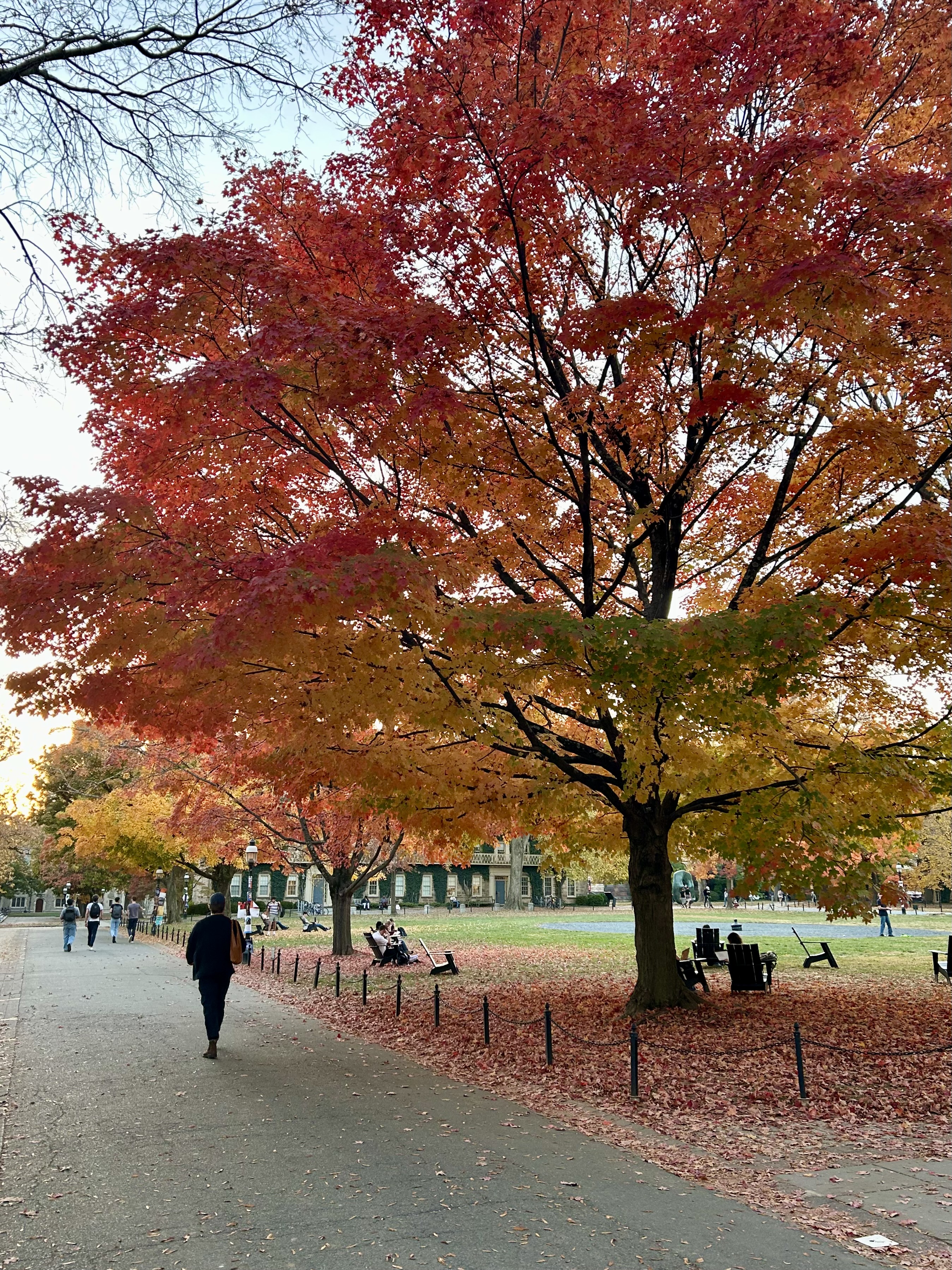 Red and orange foliage on Canon Green