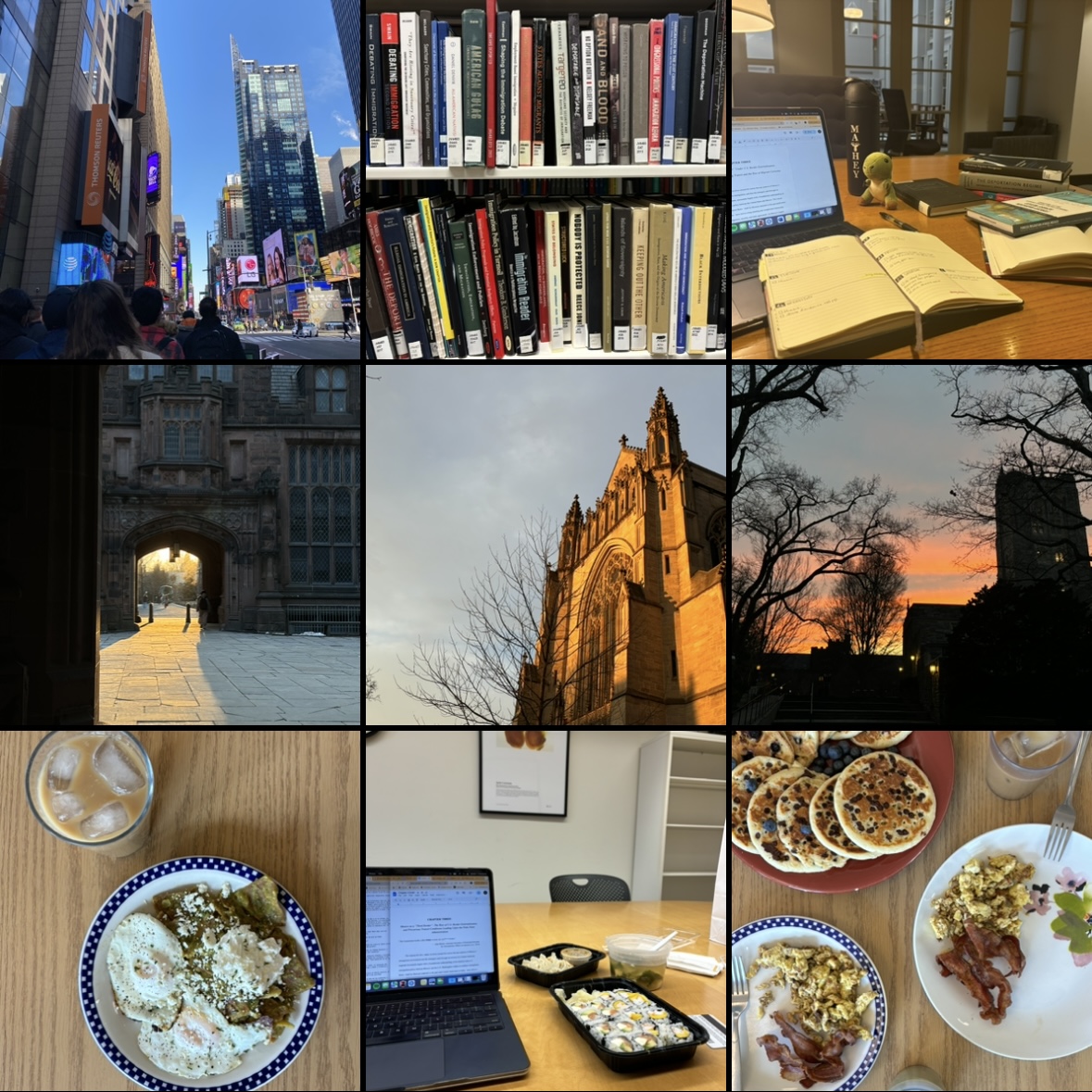 A collage of nine photos including food, sunsets, and books.