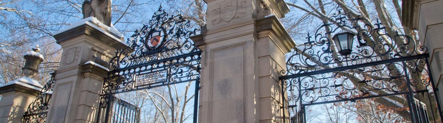FitzRandolph iron gate with a snowy backdrop