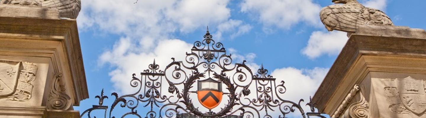 FitzRandolph Gate