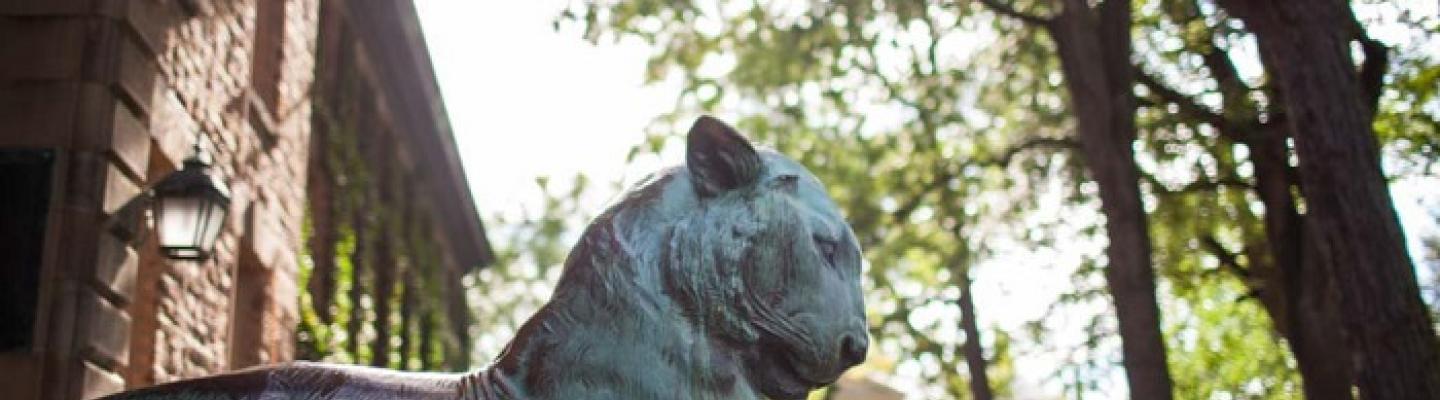 Tiger statue in front of Nassau Hall