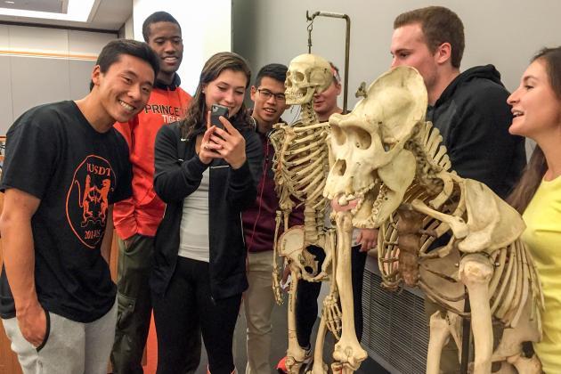 Students examining a skeleton